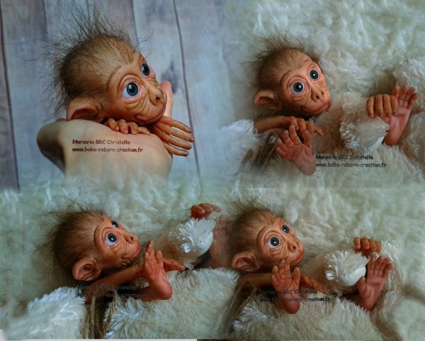 Maki Nurserie BRC Christelle (6)